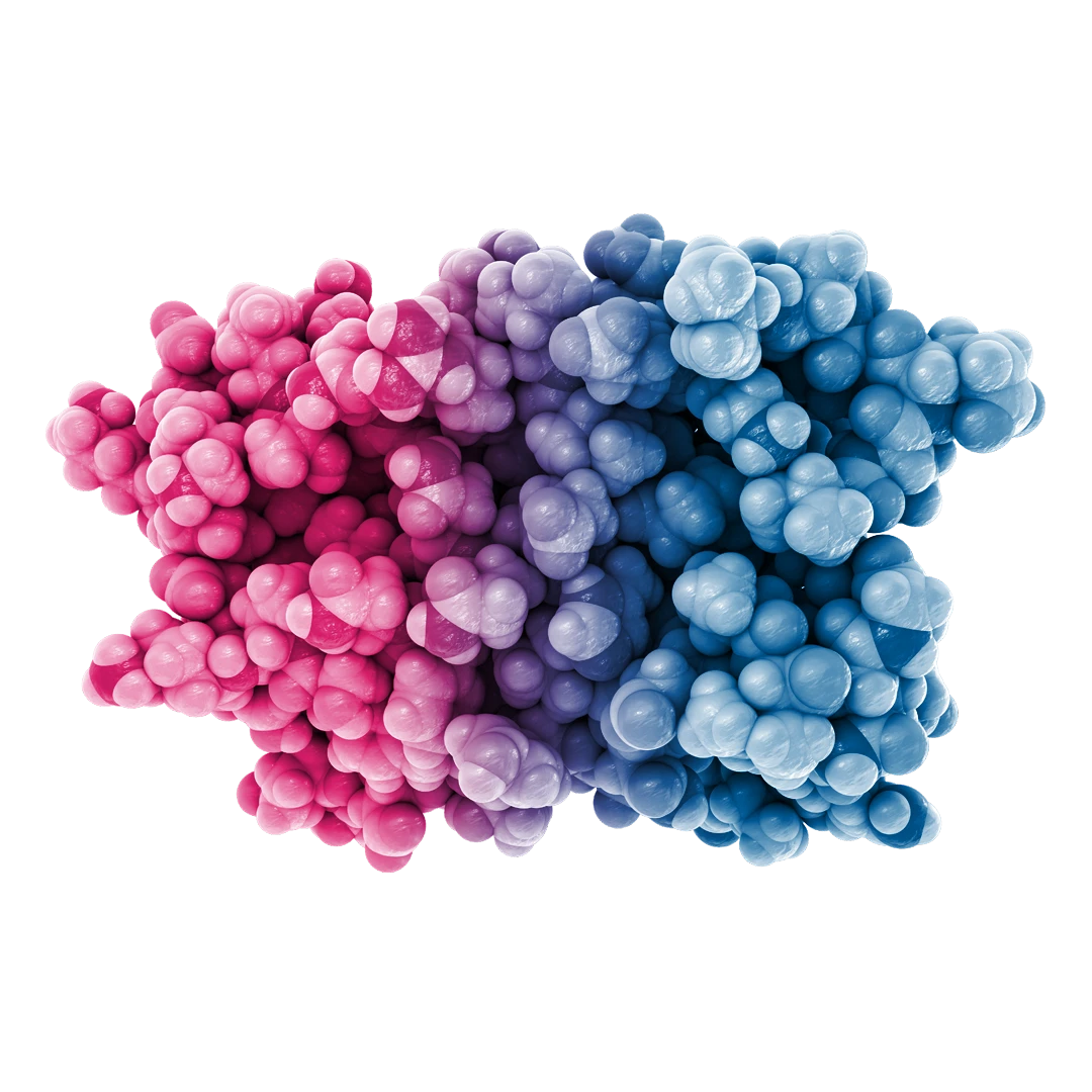 Protein Production CDMO // 3PBIOVIAN / Affinity in the making.