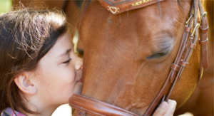 3P Biopharmaceuticals, a leading CDMO specialized in the process development and GMP manufacturing of biologics has, together with the Swedish biotechnology company Intervacc AB and LIOF-Pharma (previously Praxis Pharmaceutical), completed the manufacturing process for the vaccine against equine strangles called Strangvac®